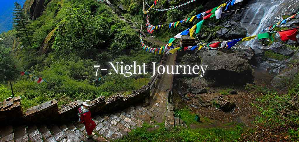 7-Night Journey
