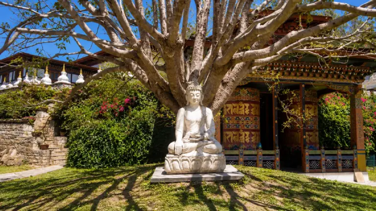Buddha statue beneath a large tree at a traditional Buddhist temple in Bhutan